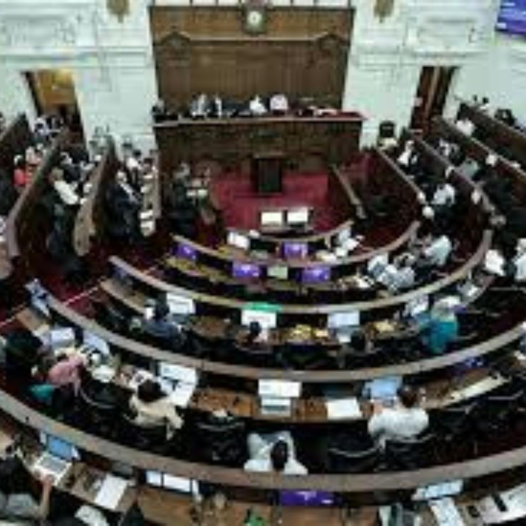 Las audiencias públicas del proceso constituyente