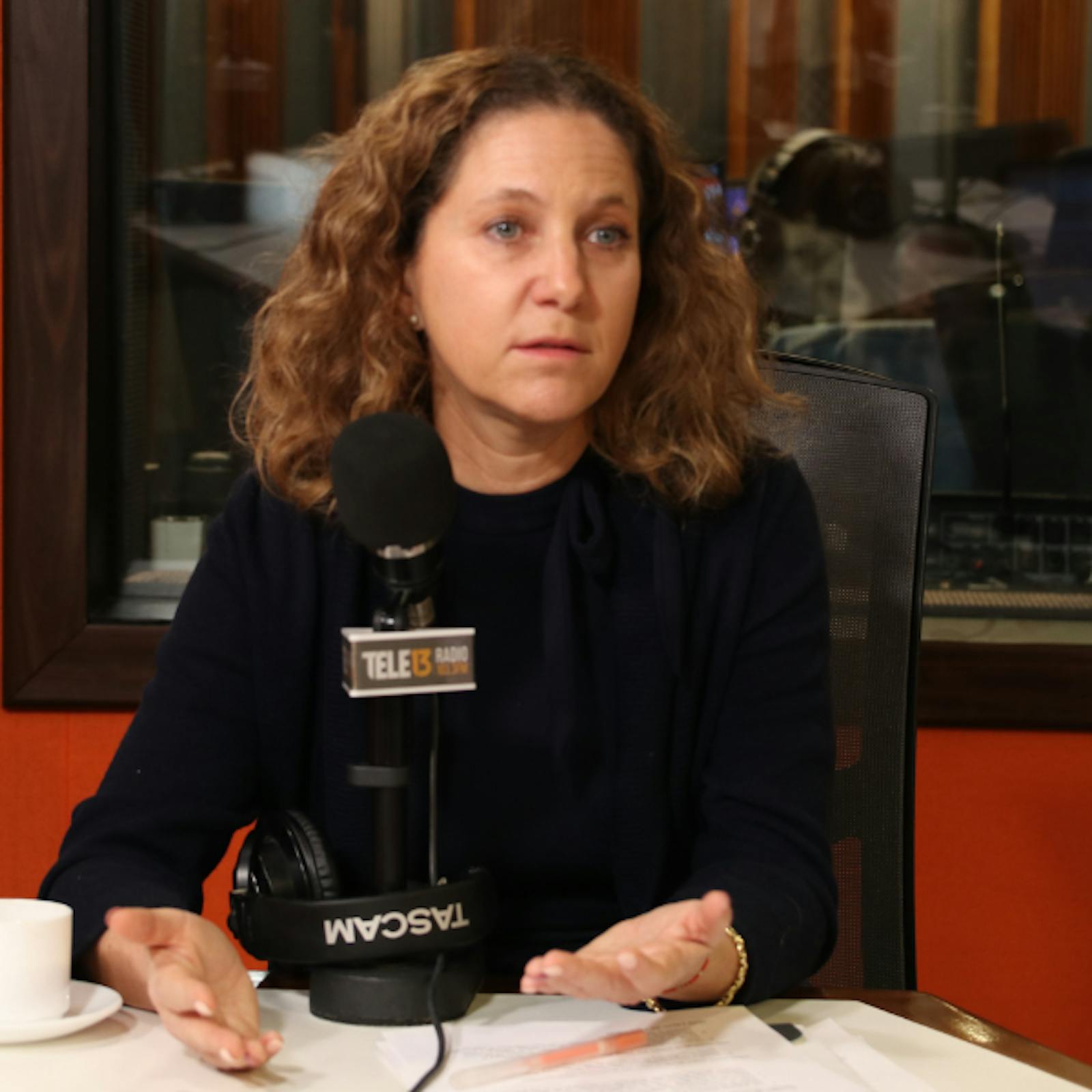 Presidenta de la Sofofa por reforma tributaria: “Hoy día subirle los impuestos a las empresas nos hace poco competitivos” episode artwork