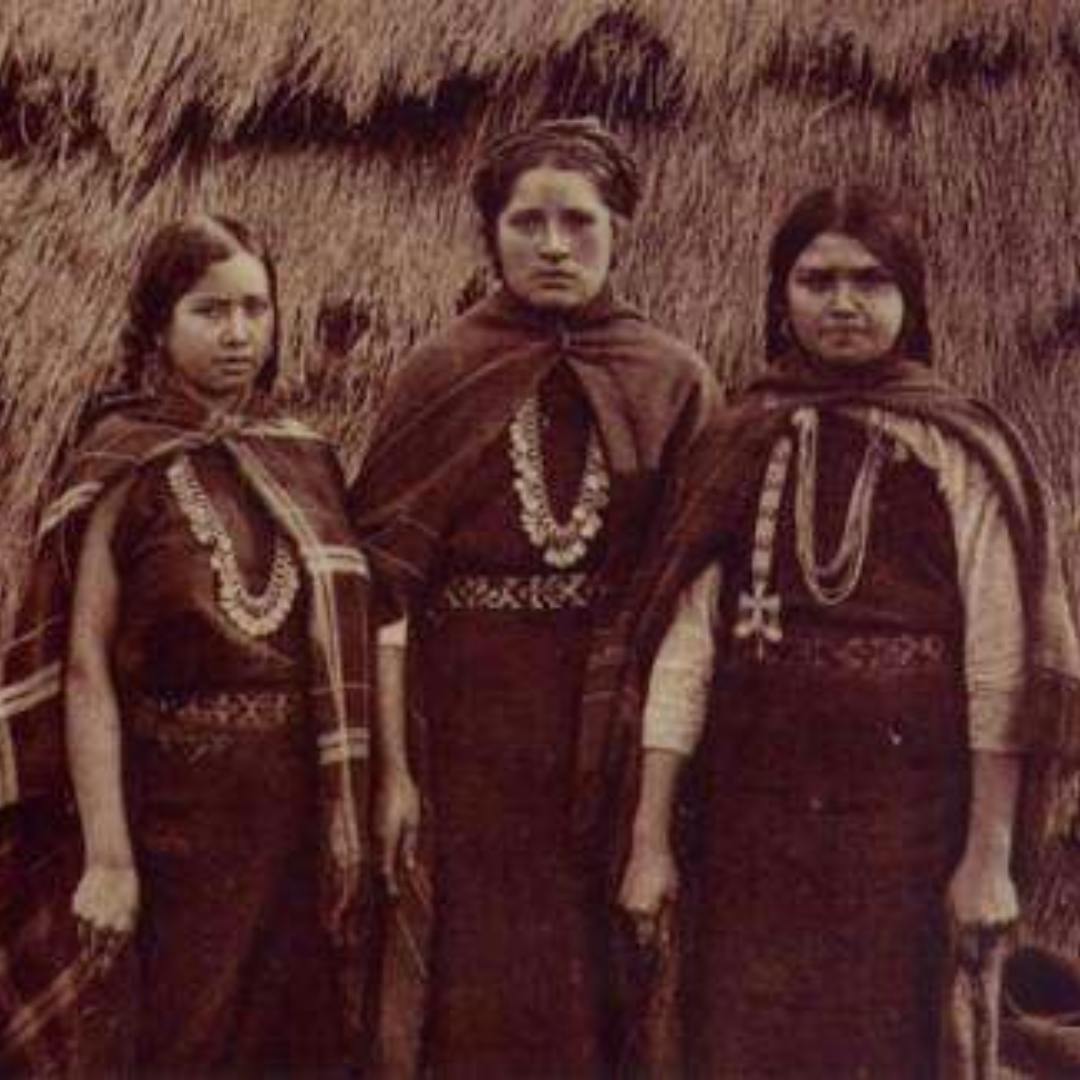 Director Antropología PUC por estudio del origen de los mapuches: “Tenemos evidencia de conexión genética entre las comunidades del presente y poblaciones que existieron hace más de 5 mil años”