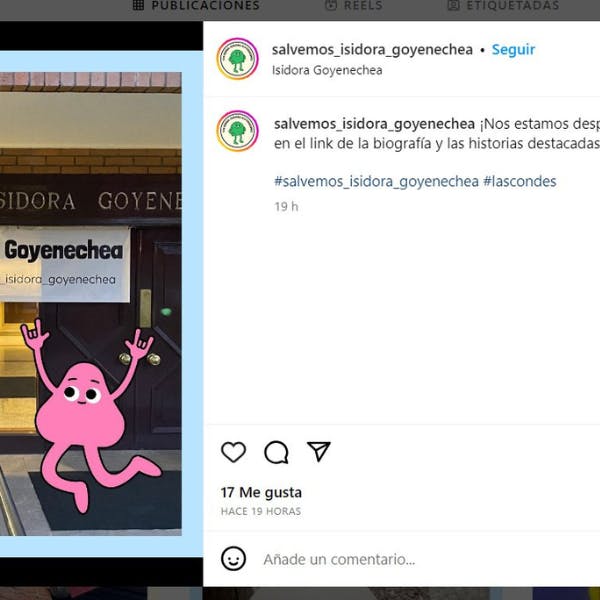 salvemos_isidora_goyenechea