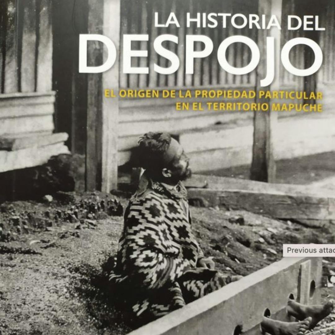 La historia del despojo. El origen de la propiedad particular en el territorio mapuche