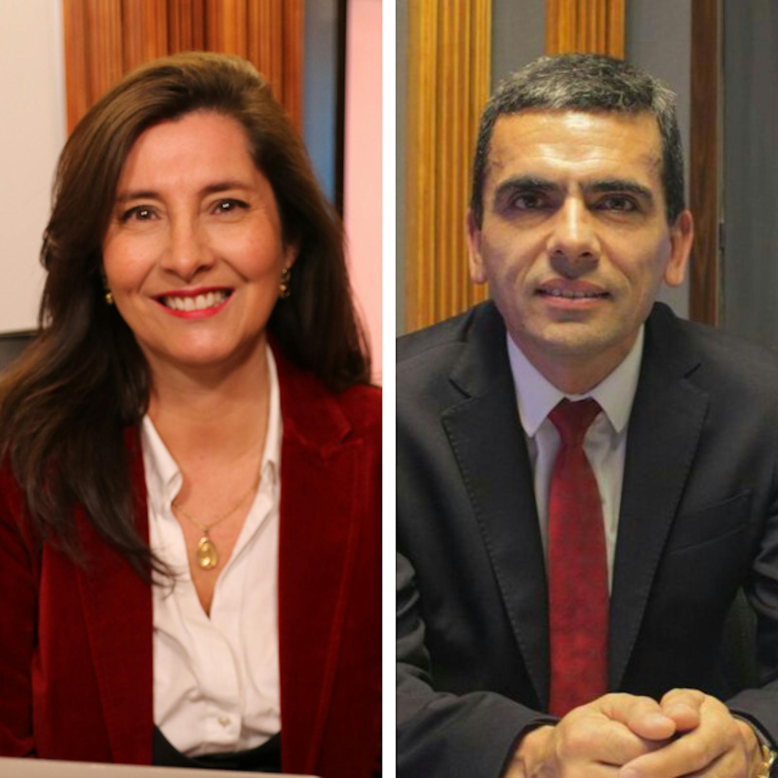 Moore y Gajardo por la Fundación Democracia Viva y la Comisión de Desinformación del Gobierno