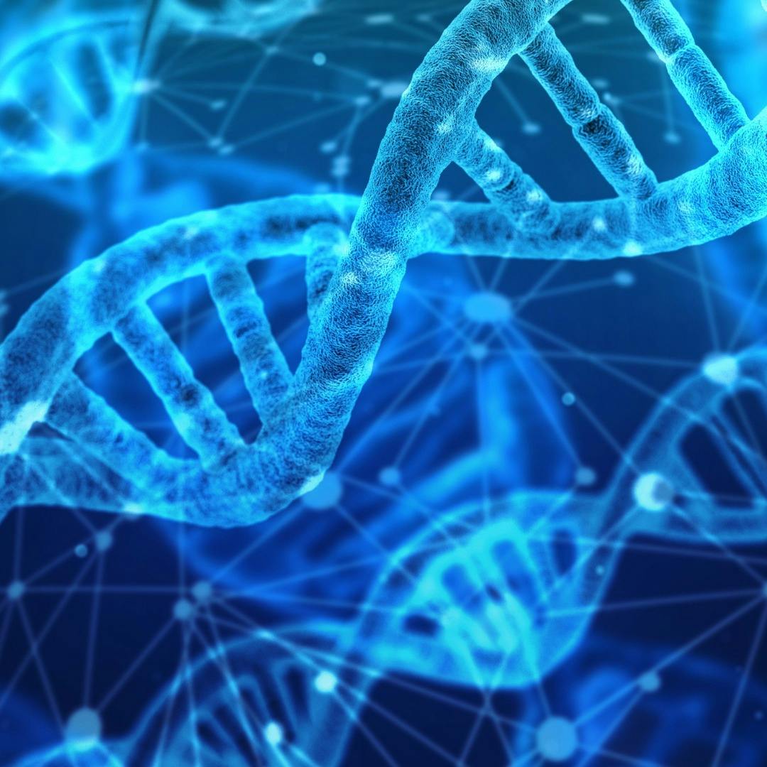 Los detalles del test de ancestralidad 