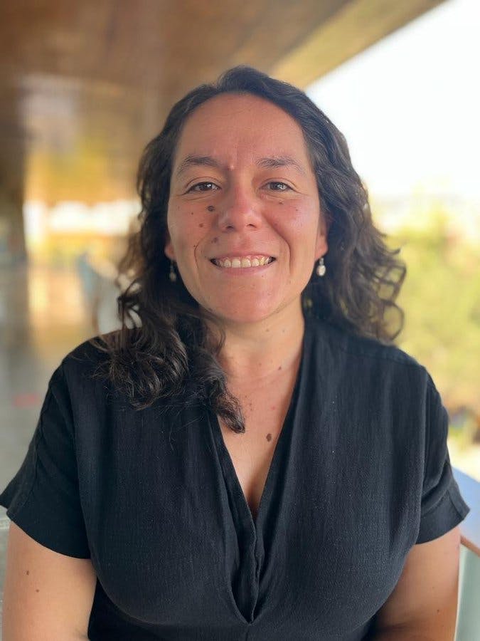 nalizamos la creación de la Comisión Asesora contra la Desinformación con Ana María Castillo profesora asistente Instituto de la Comunicación e Imagen de la U. de Chile