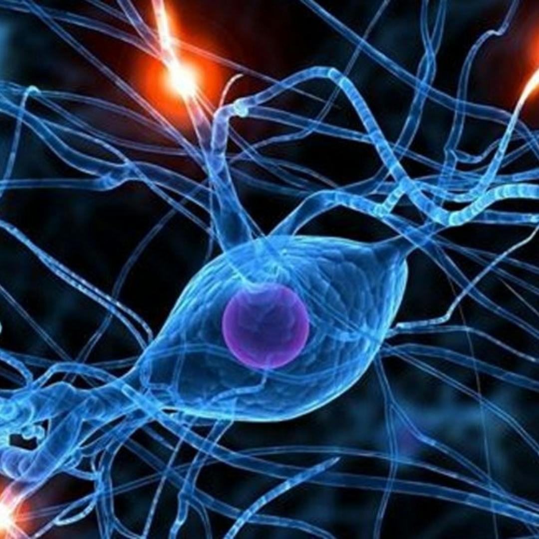 Neurólogo U. de Chile por Síndrome de Guillain-Barré en Perú: “Ocurre por anticuerpos que en vez de atacar a un agente viral externo, terminan atacando a la estructura nerviosa del cuerpo”