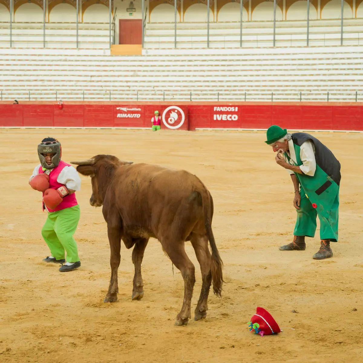 On the Front Line of a War Over Bullfighting Traditions