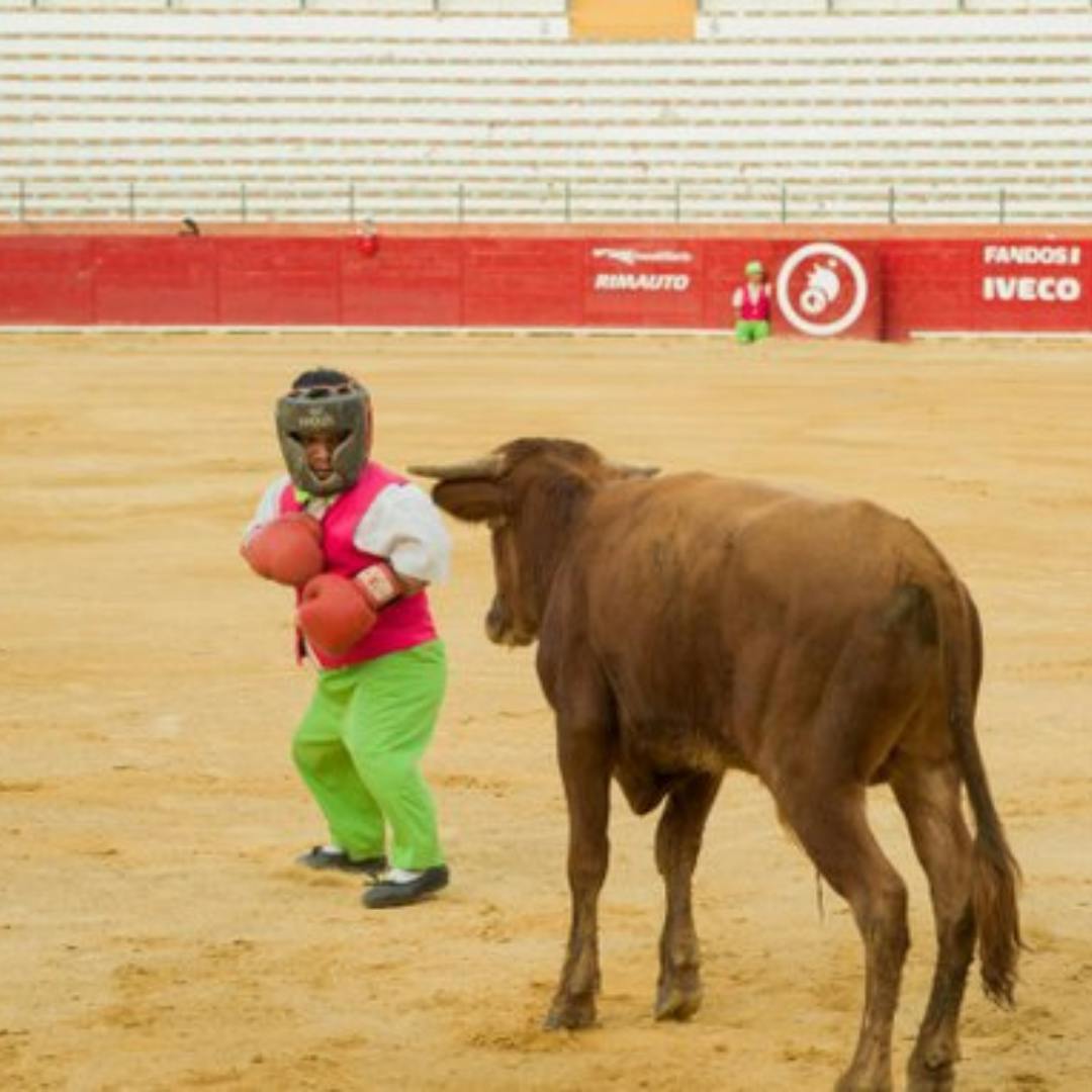 On the Front Line of a War Over Bullfighting Traditions