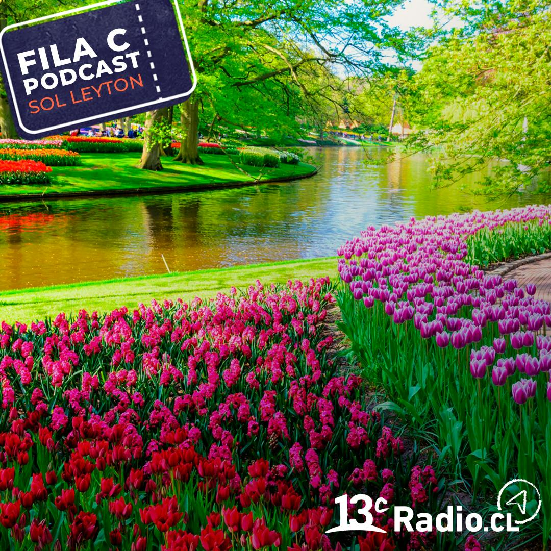 Keukenhof: el maravilloso parque floral en Holanda