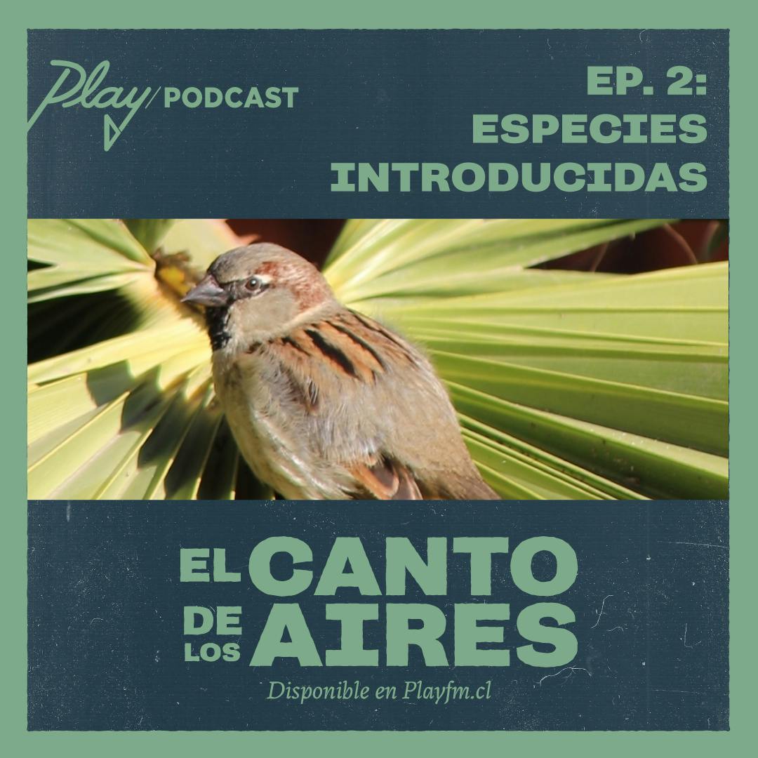 Especies Introducidas