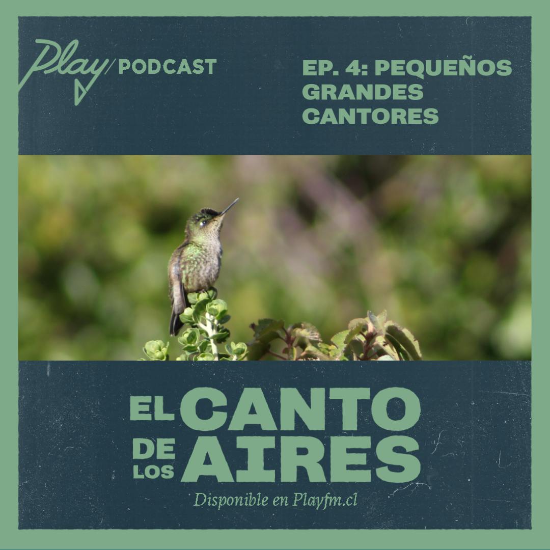 Pequeños grandes cantores