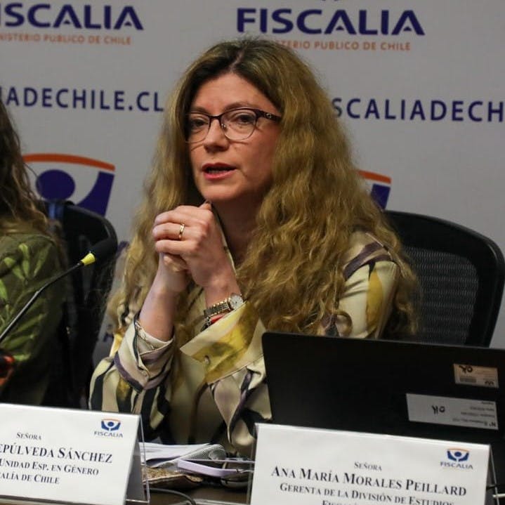 Directora de género de la Fiscalía Nacional por Informe Estadístico de Homicidios con perspectiva de género: “El desafío está en que puedan denunciar y poder entregar protección efectiva”