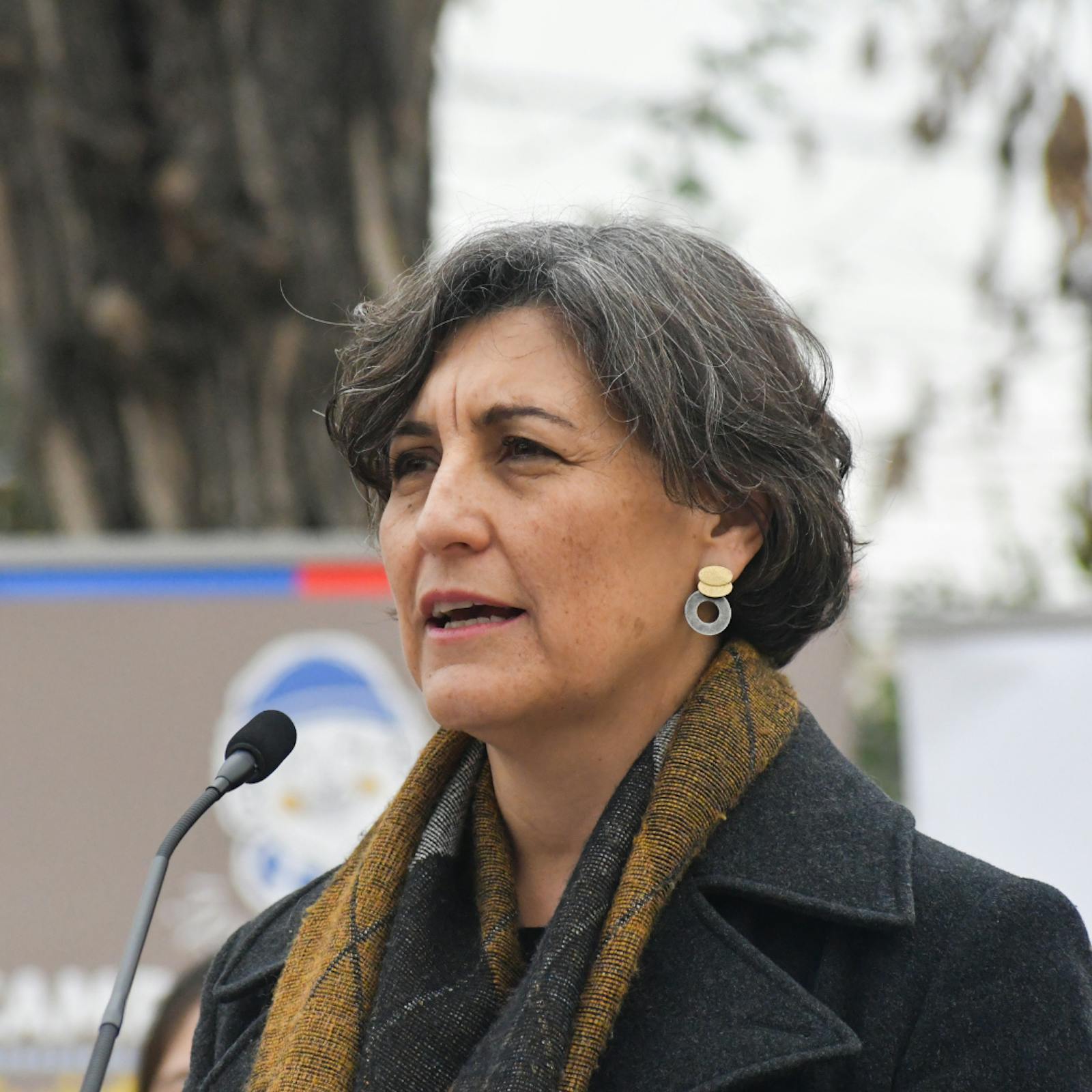 Ministra de Salud por plazos en el trabajo de ley corta: “Tenemos un plazo perentorio. Tenemos hasta noviembre para que salga la resolución” episode artwork