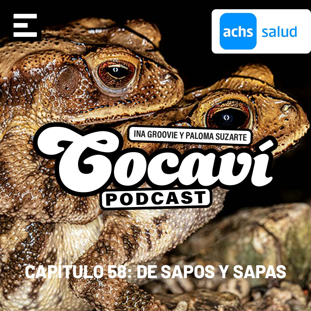 De sapos y sapas