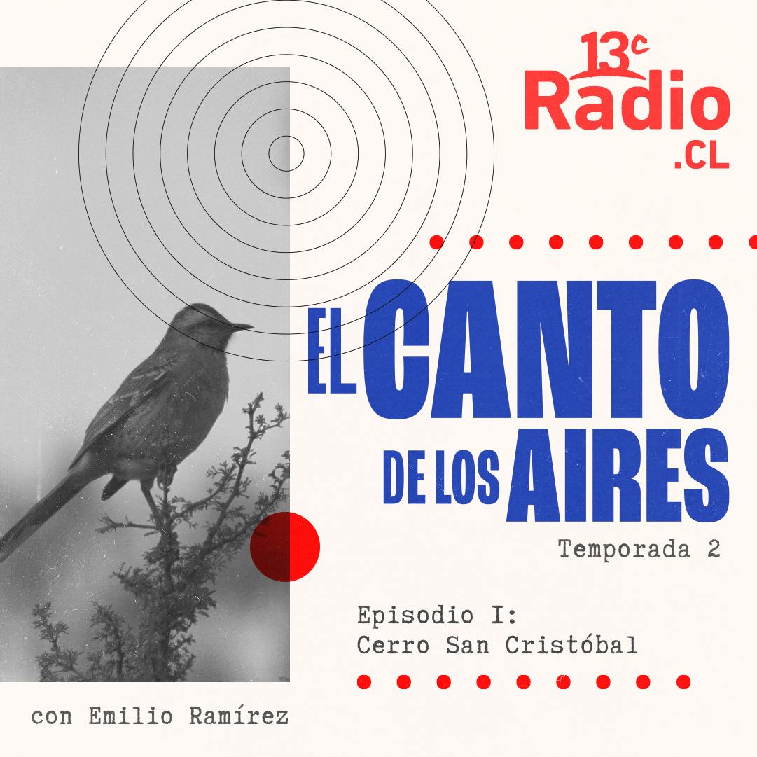 1. Aves del Cerro San Cristóbal