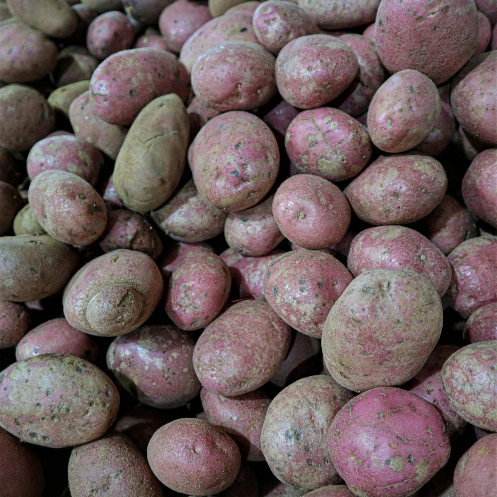 El aumento en el precio de las papas