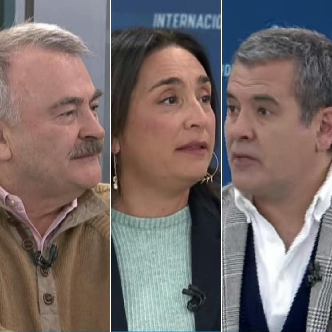 Auth, Naudon y Mujica por el Consejo Constituyente y los posibles candidatos presidenciales
