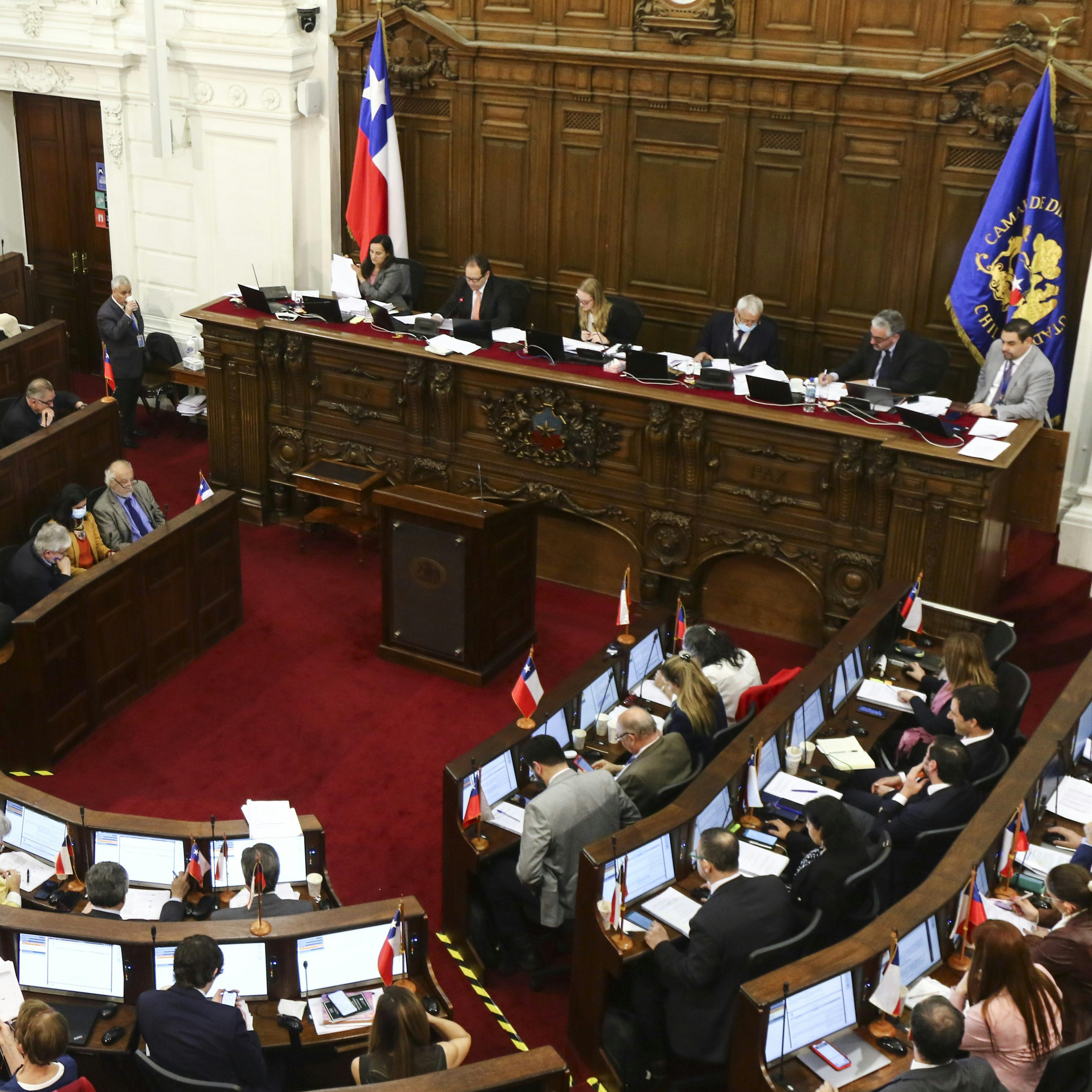 Bertelsen y Viera Gallo por las normas relativas a las Fuerzas Armadas y las sanciones a parlamentarios