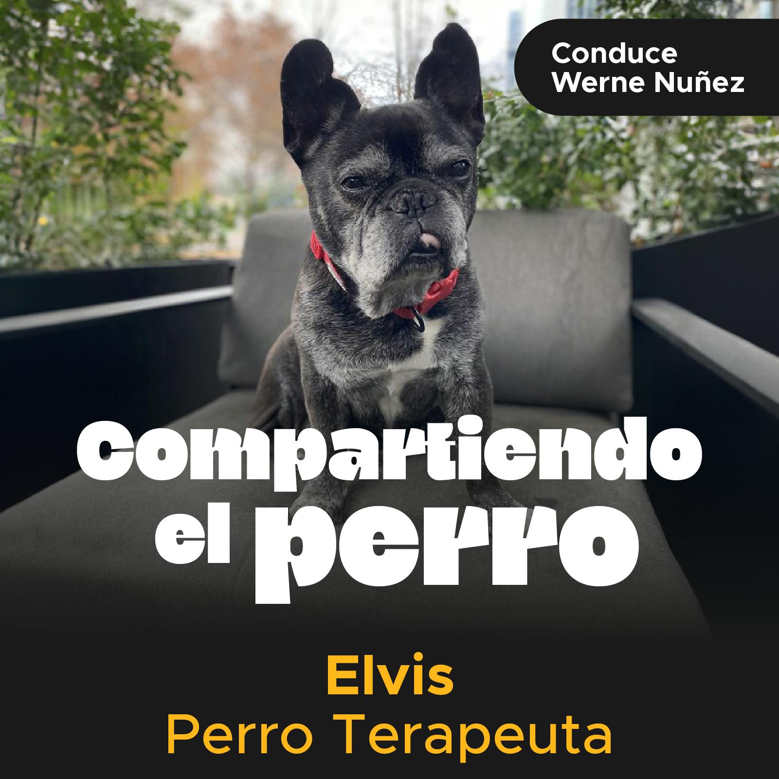 Elvis y su perro terapia.