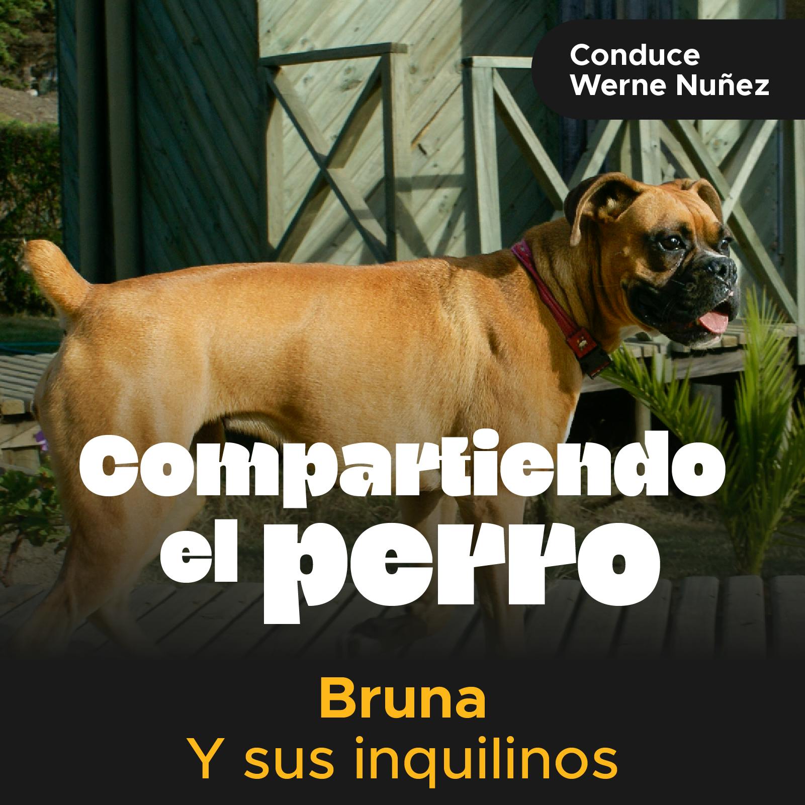 Bruna y sus inquilinos. 