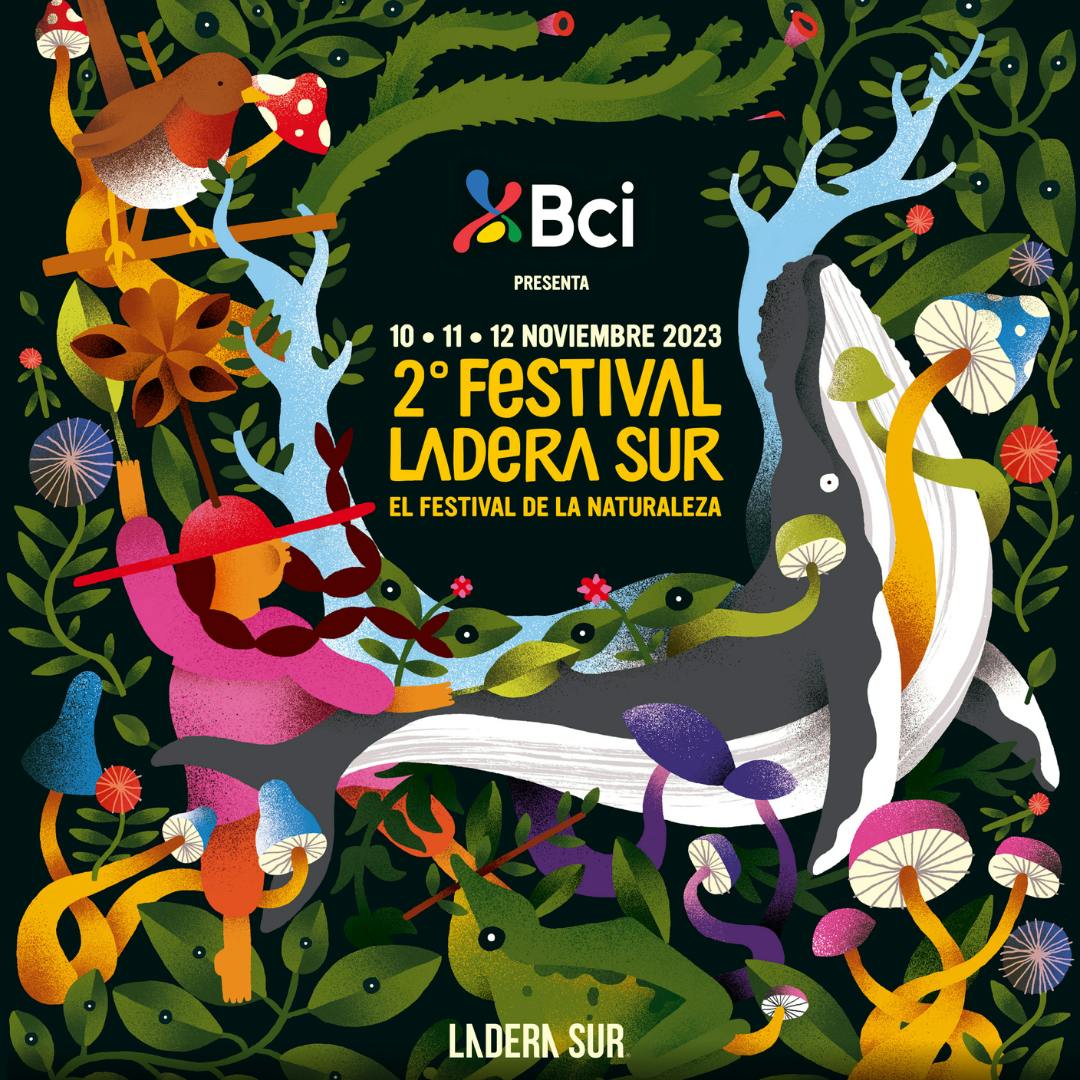 2do Festival Ladera Sur