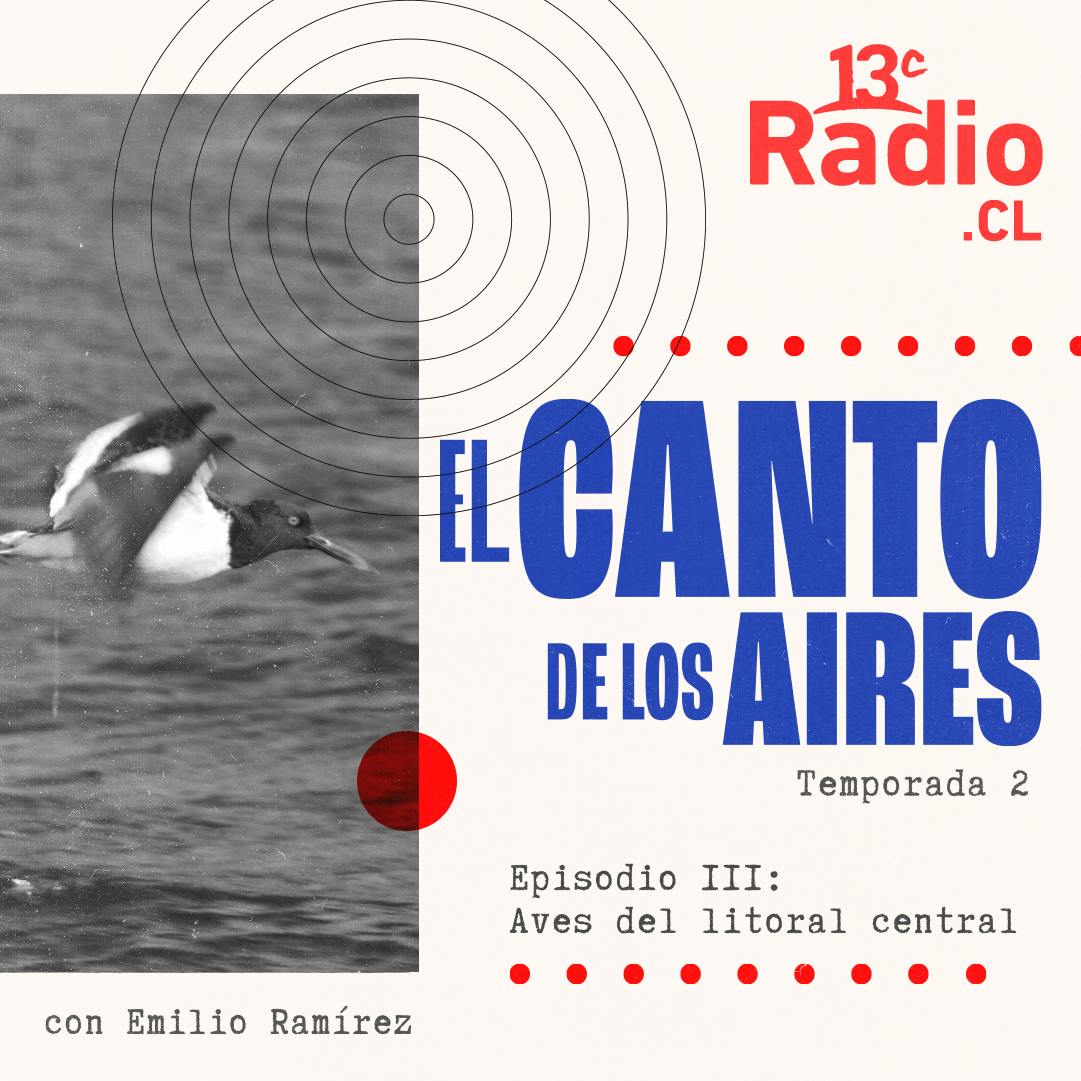 Aves del litoral central