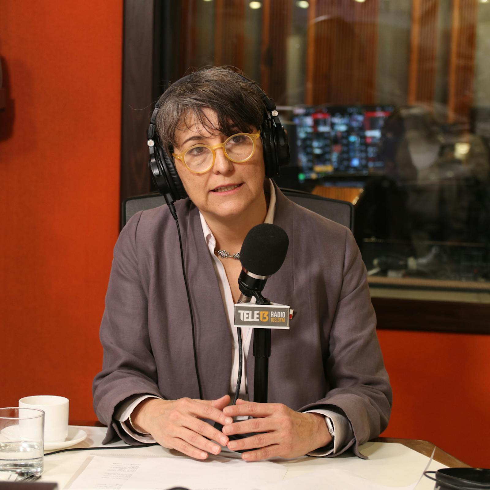 Ministra de Salud por críticas de Santelices a Ley Corta de Isapres: "De una comisión a las indicaciones legales hay un trecho y las indicaciones se recogieron prácticamente todas" episode artwork