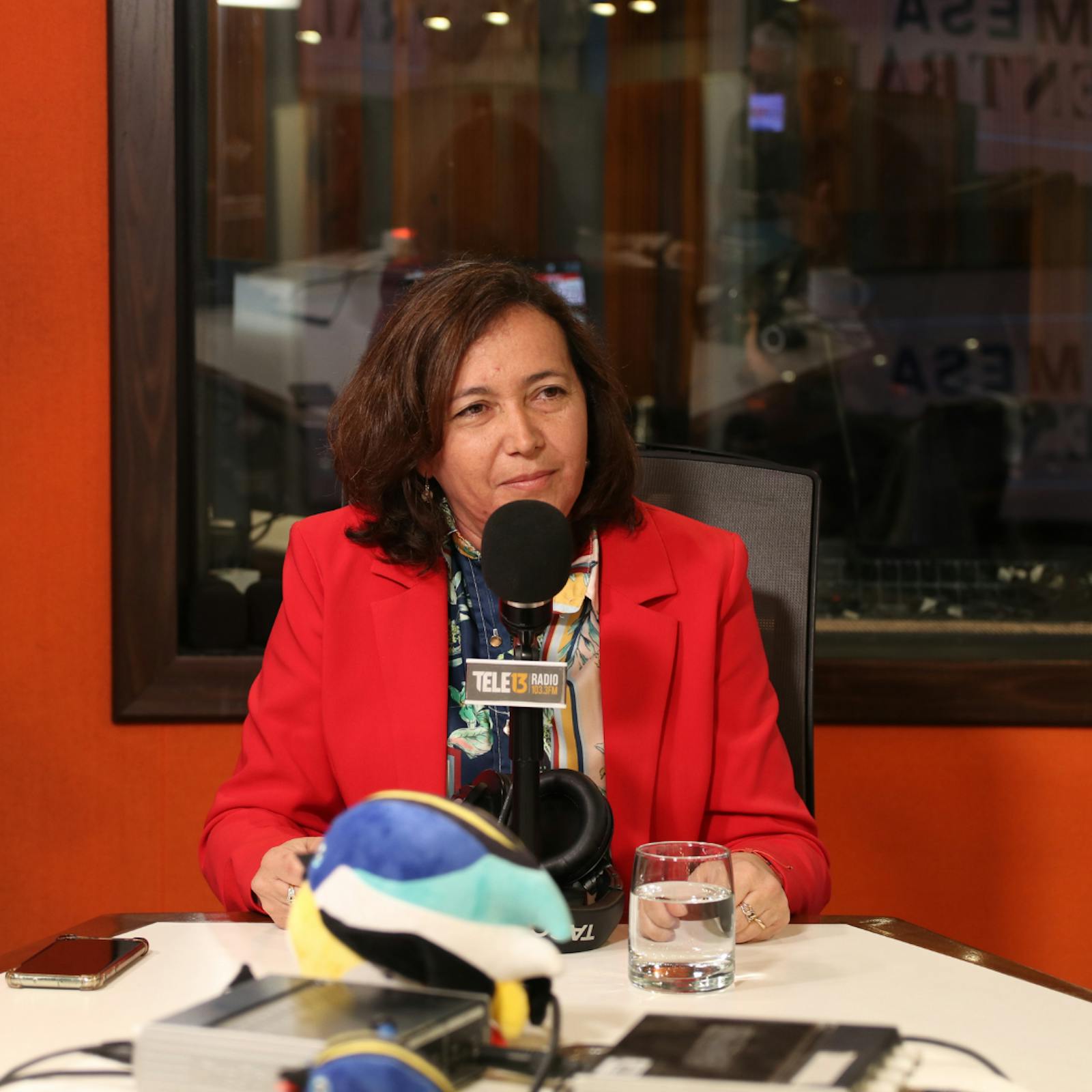 Presidenta de la CMF sobre permanencia del Fiscal Montes: “Sigue en su cargo (...) dependiendo de lo que se encuentre en la investigación se irán tomando decisiones” episode artwork