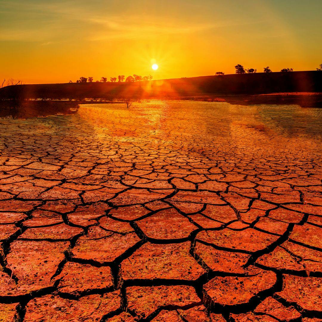 La primera firma de reasentamiento climático en el mundo      