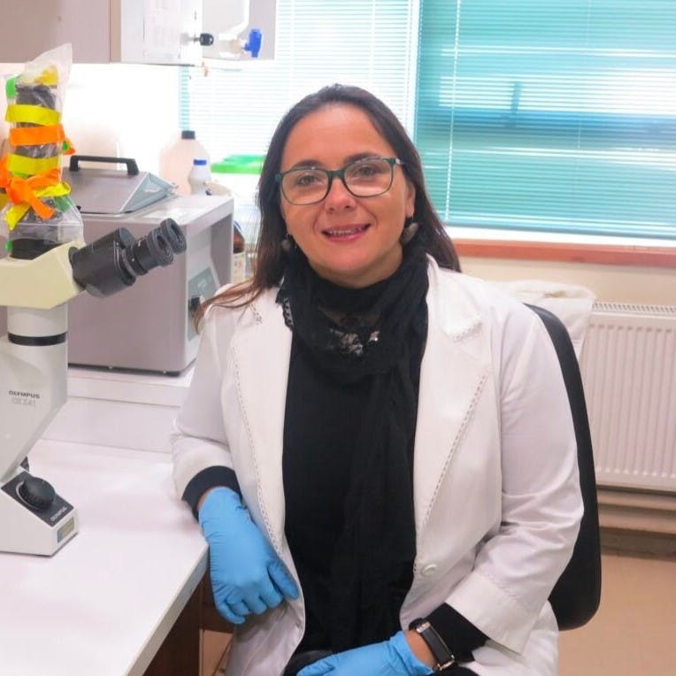 Dra. Ehrenfeld por biomarcador de cáncer de mama: “pudiese ser un tipo de examen de detección temprana que permita una derivación oportuna de las mujeres