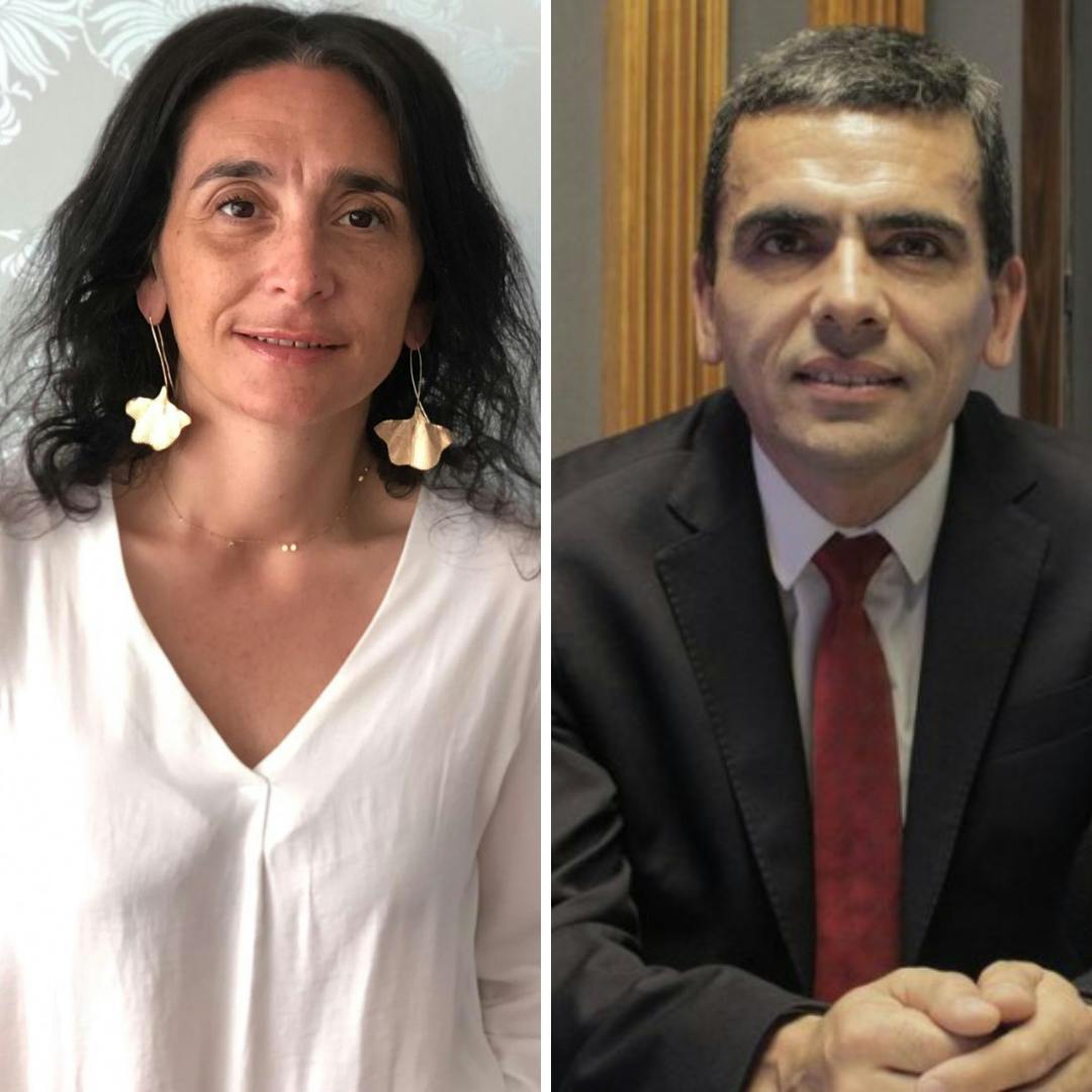 Naudon y Gajardo por la detención de Luis Castillo y la situación del ministro Montes