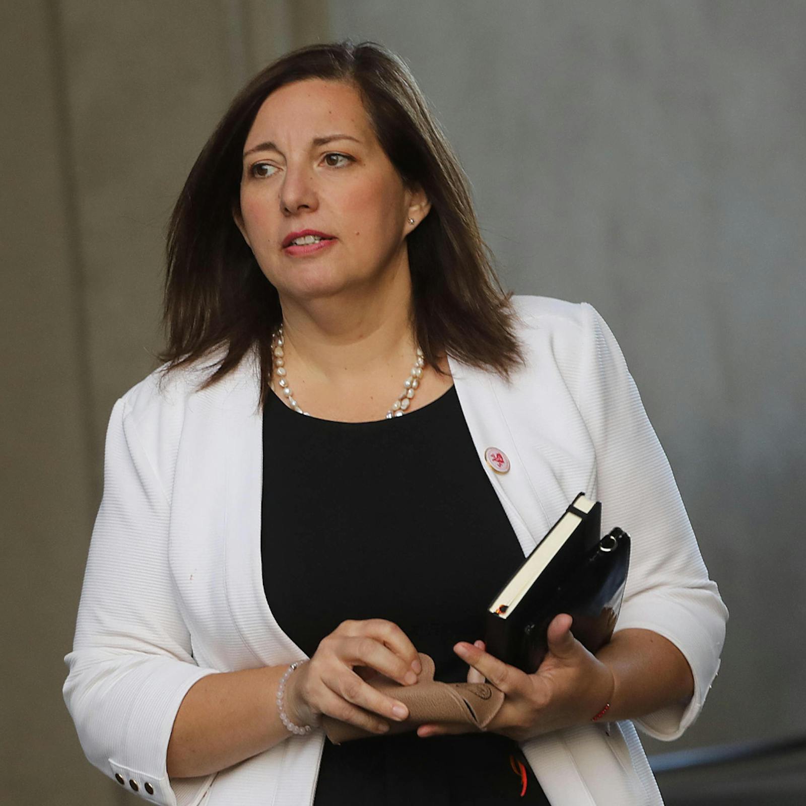 Senadora Paulina Vodanovic (PS): "El ministro Montes cuenta con el apoyo nuestro y sobre todo con el apoyo del Presidente" episode artwork