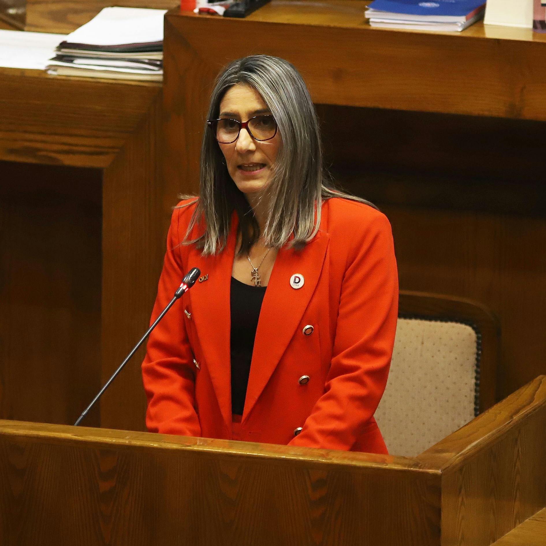 Diputada Olivera por Ley Karin: Podemos considerar al sector público dentro del proyecto, también a los municipios. Es un proyecto que quedó bastante amplio
