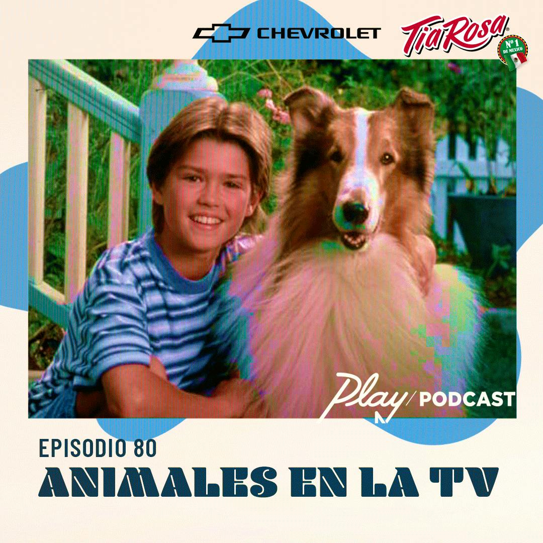 Animales en la TV