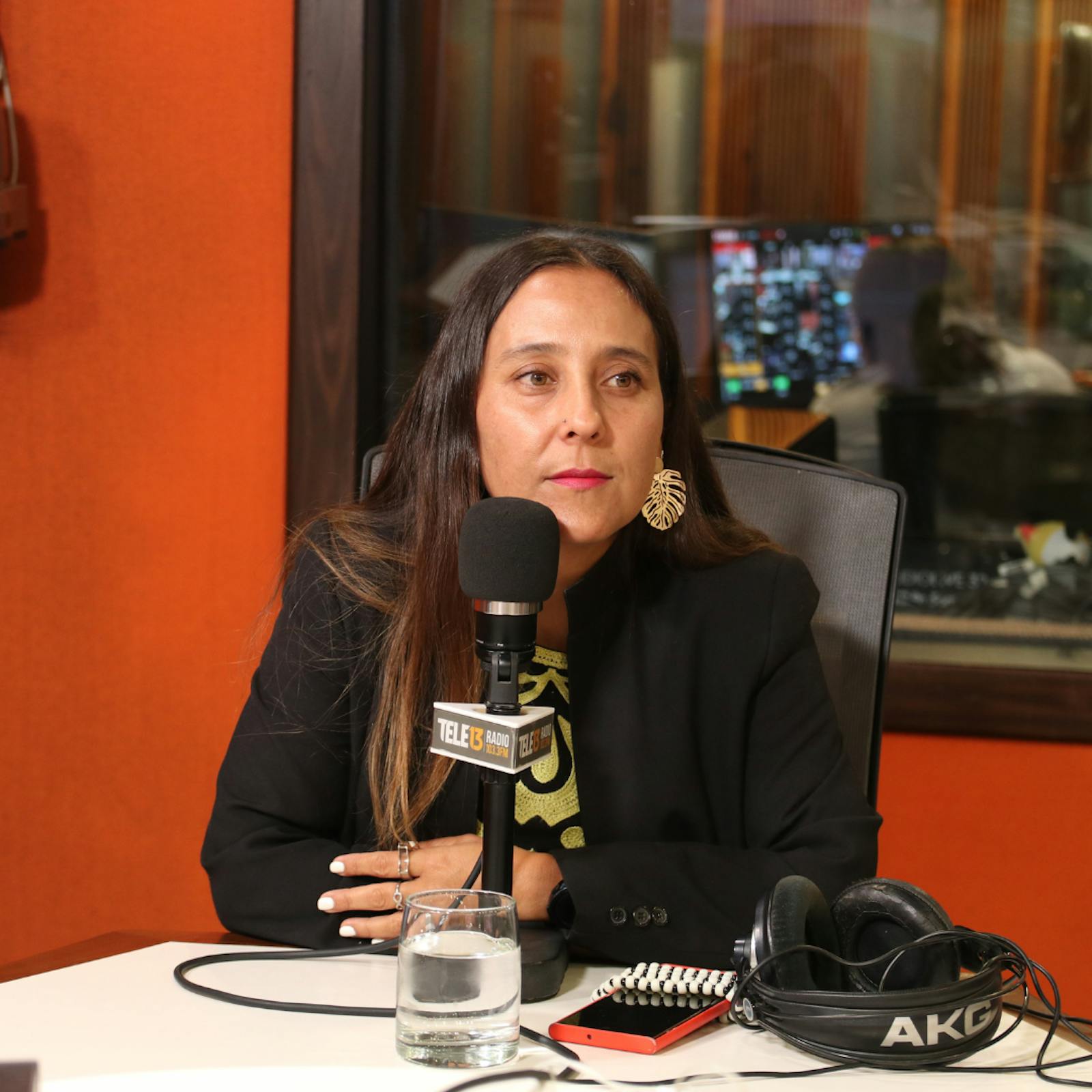 Subdirectora de la Unidad Especializada en Crimen Organizado y Drogas de la Fiscalía Nacional: "Todavía estamos en un contexto en que los secuestros se producen entre mayor número entre integrantes de bandas" episode artwork