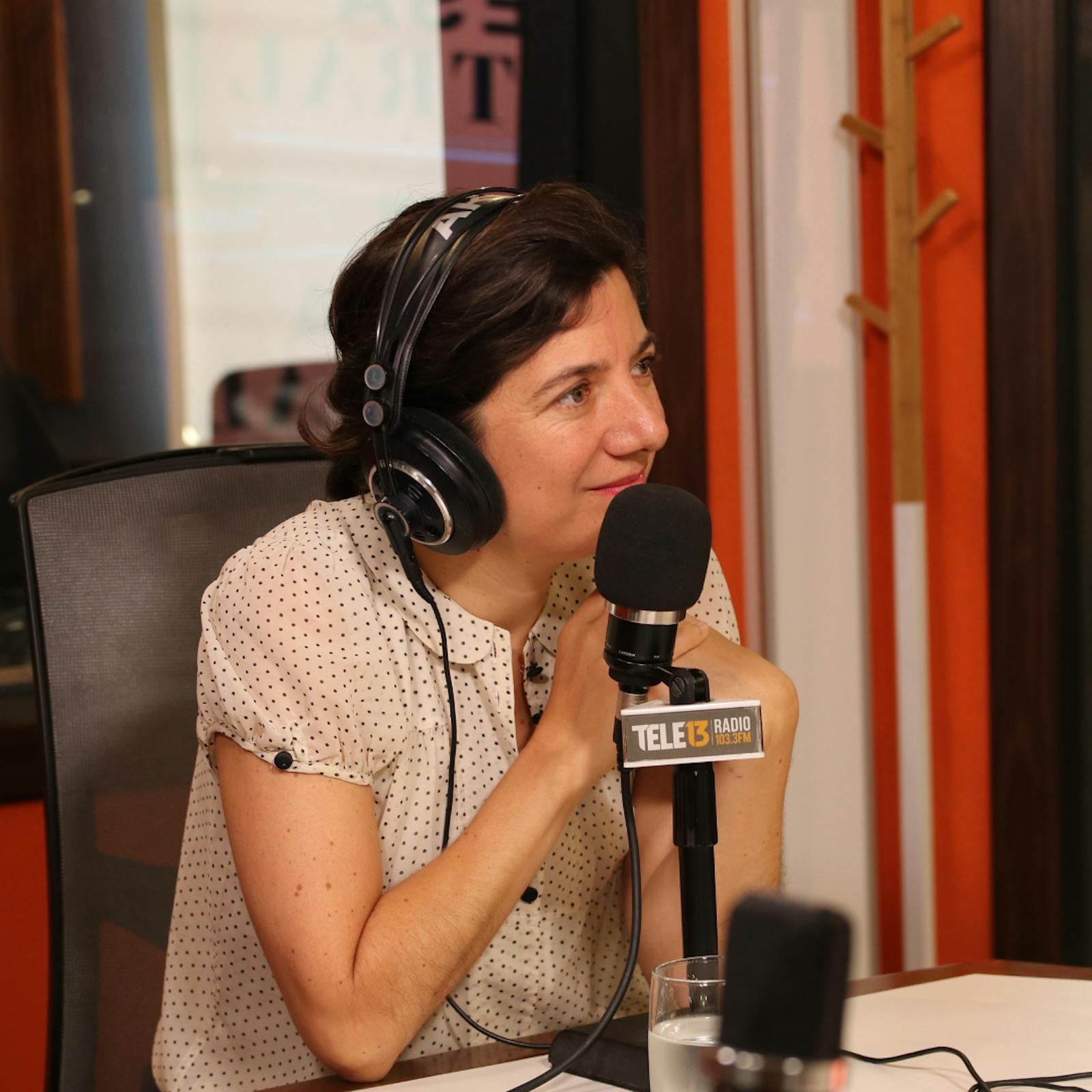 Ministra de Ciencia por incendios: "Hay mucho conocimiento científico disponible, pero es muy difícil de procesar en tiempo rápido para  apoyar el proceso de toma de decisiones" episode artwork
