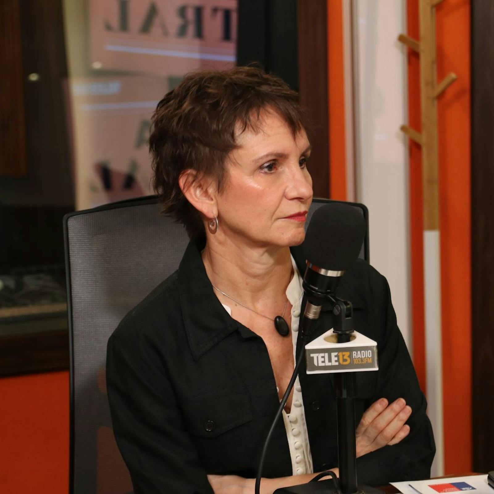 Ministra Carolina Tohá: "El esfuerzo que ha hecho Chile por tener una colaboración con Venezuela es para perseguir el crimen organizado, no para hacer persecuciones políticas" episode artwork