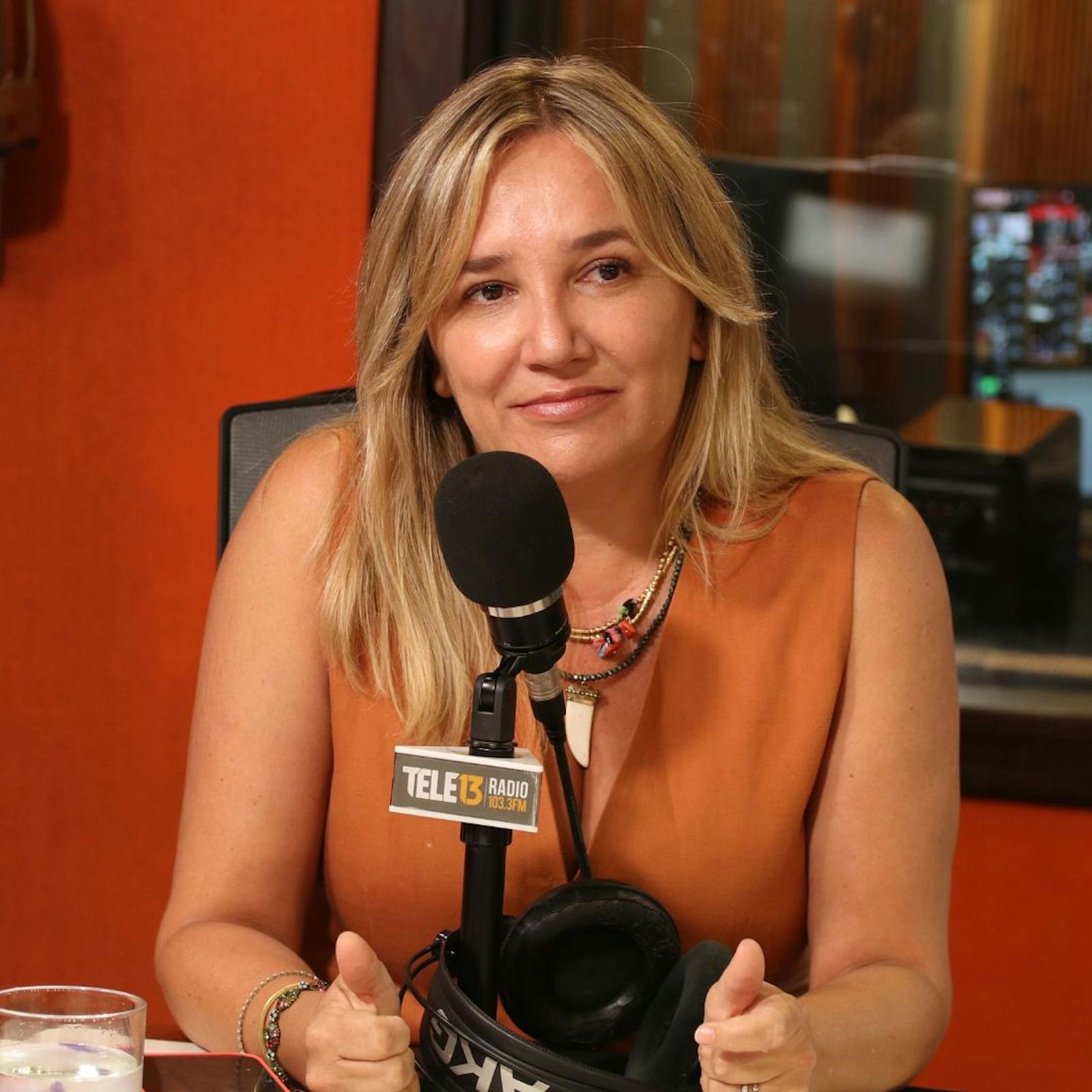 María José Hoffmann (UDI) por caso Ronald Ojeda: “Me llama la atención que el PC descarte de plano el móvil político. No hay que descartar nada” episode artwork