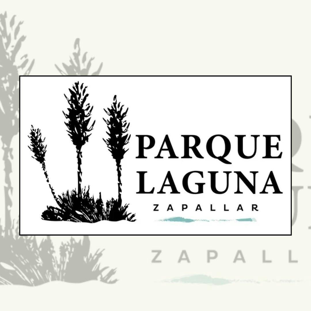 La disputa entre vecinos y proyecto “Parque Laguna Zapallar”