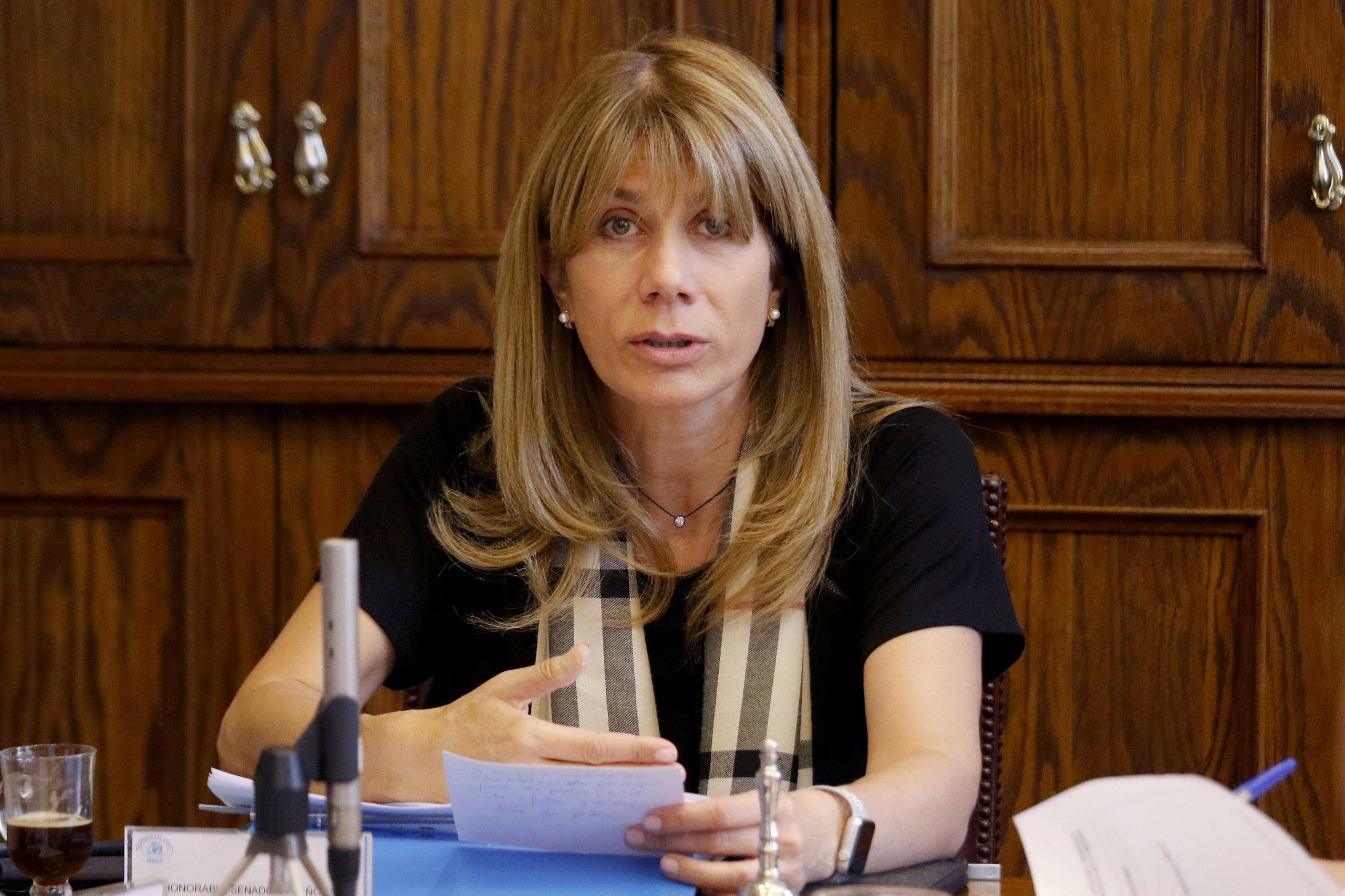 Entrevista | Senadora Rincón y agenda de seguridad: “Ha tenido rechazo permanente de parlamentarios de gobierno”