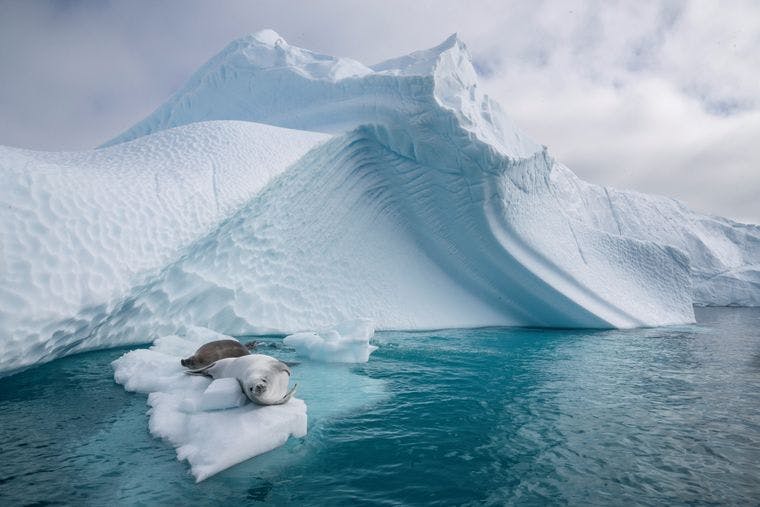 Entrevista | Experto en derecho antártico: “Se acordó, y Rusia lo apoyo, el compromiso de no realizar actividades minerales en la Antártica”