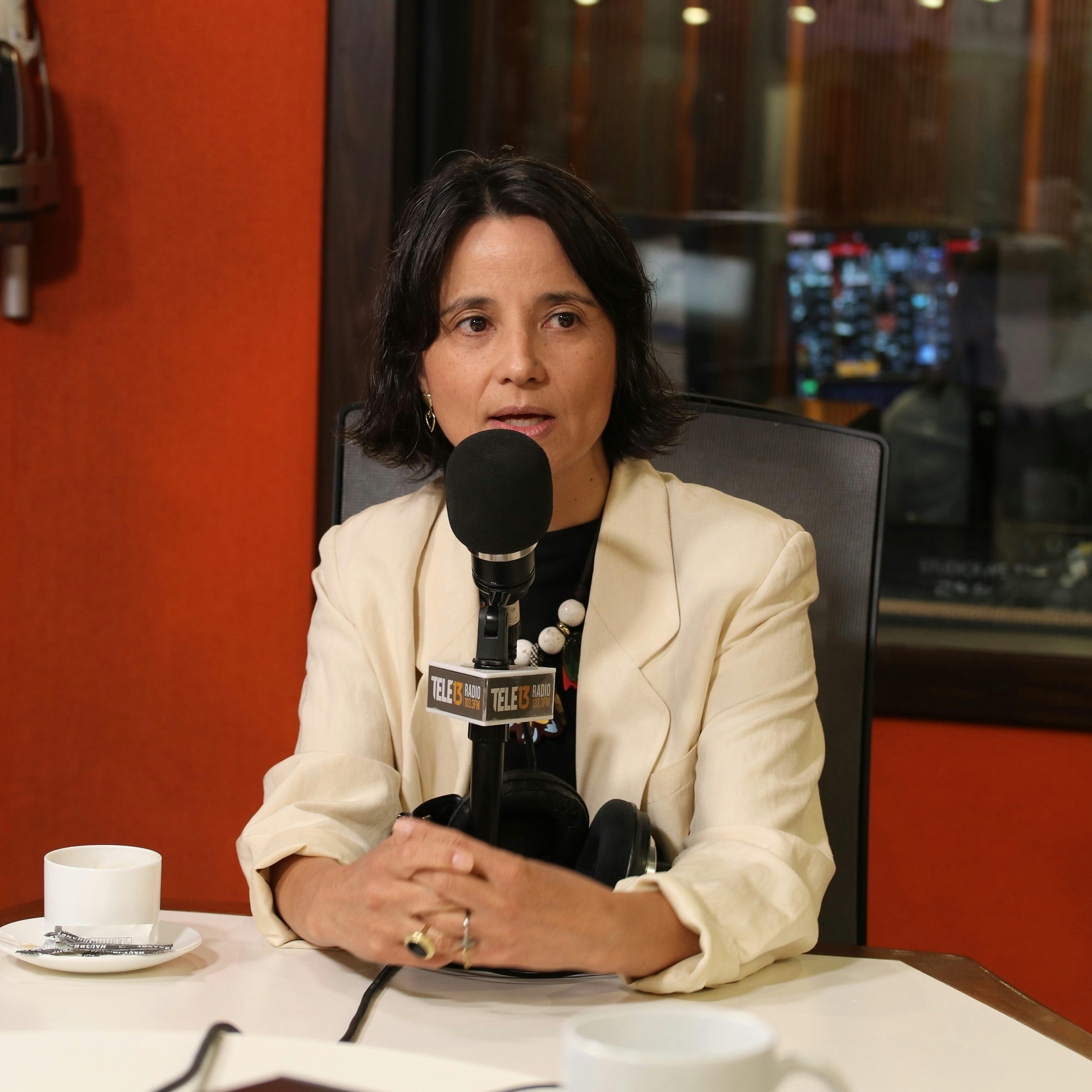 Presidenta del Colmed por muertes por influenza en el Ñuble: “Queremos hacer un llamado a la autoridad a que, bajo la figura de la alerta sanitaria, movilice más recursos”