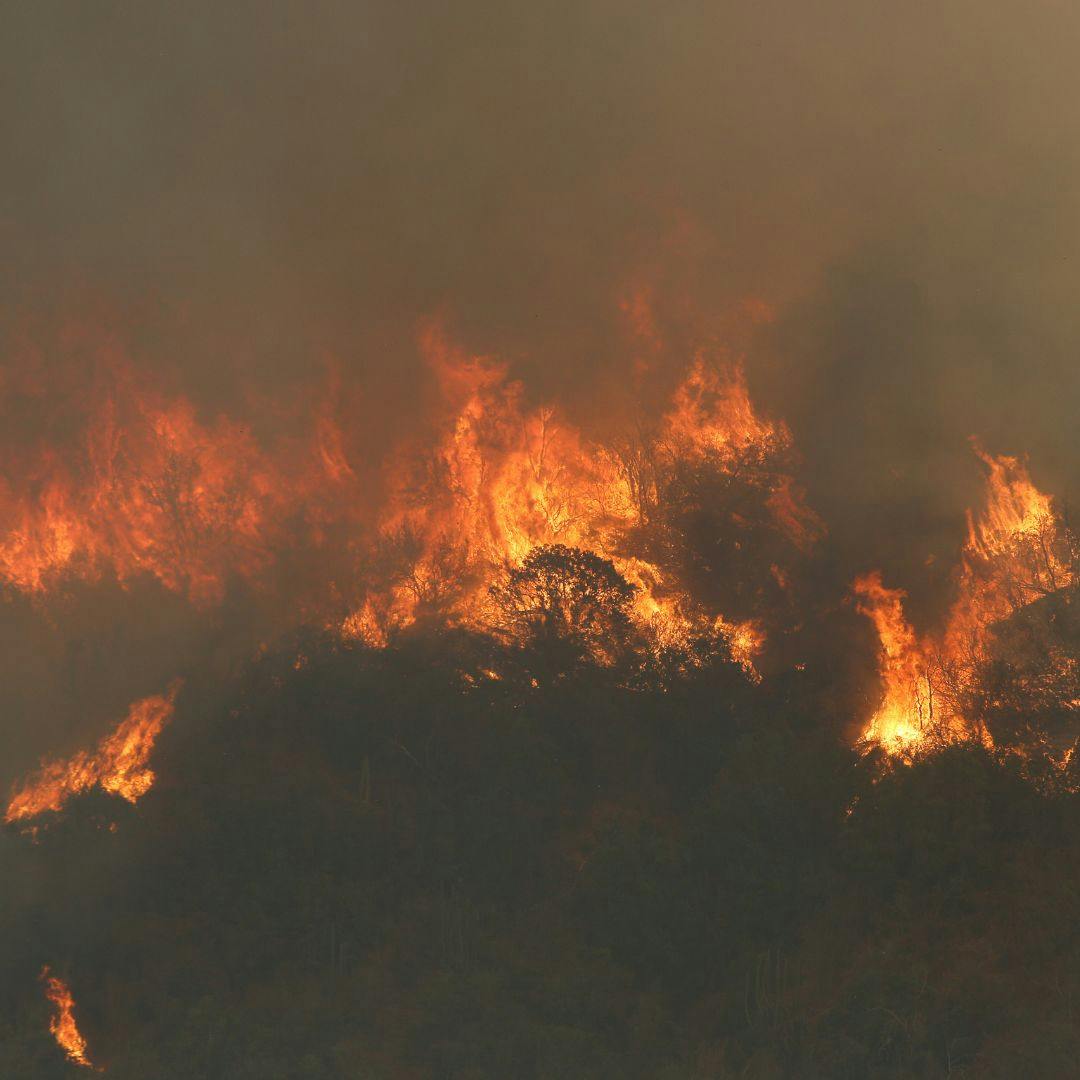 La investigación del megaincendio en Valparaíso