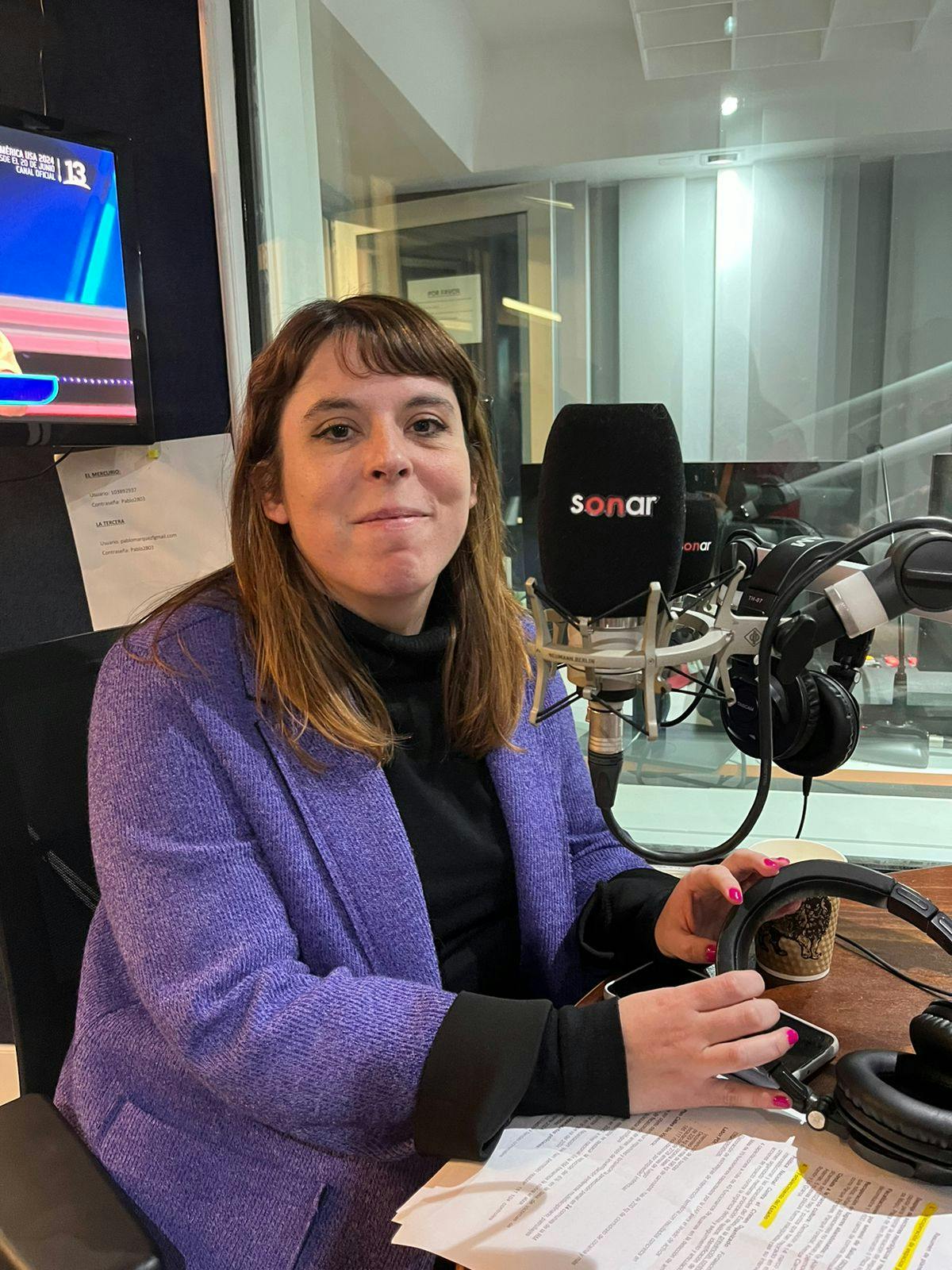 Delegada Constanza Martínez comentó avances en materia de seguridad.