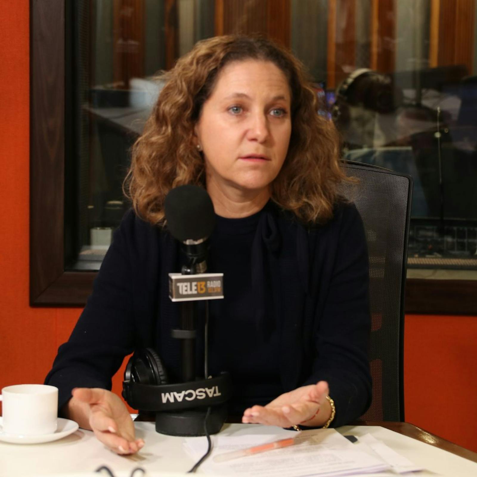Presidenta Sofofa por estado de la inversión en Chile: “La permisología hoy es uno de los principales frenos que tenemos” episode artwork