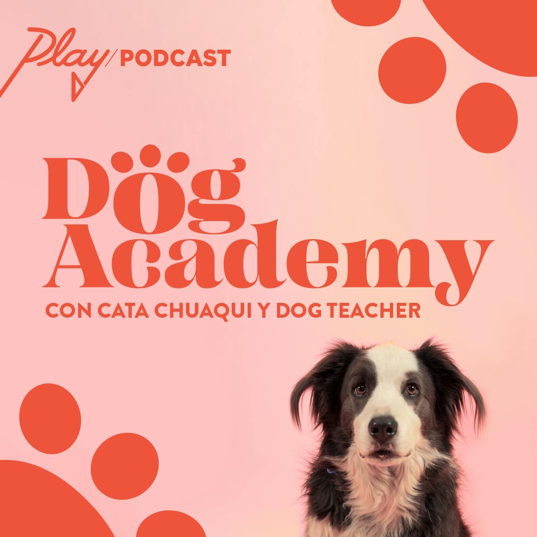 Trailer Dog Academy: Nueva Temporada