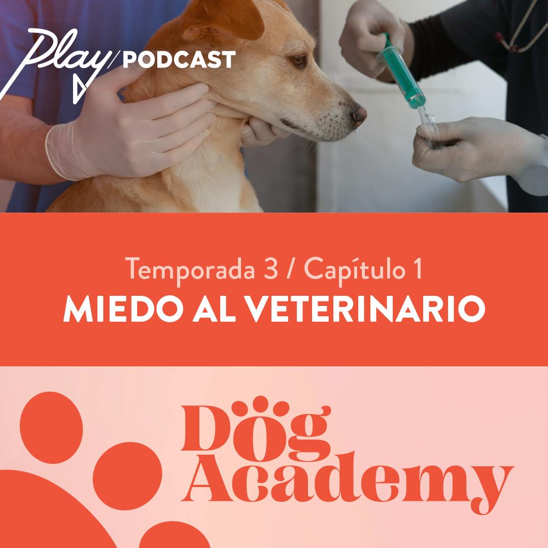 Clase 9: Miedo al veterinario