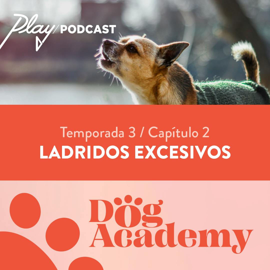 Clase 10: Ladridos excesivos
