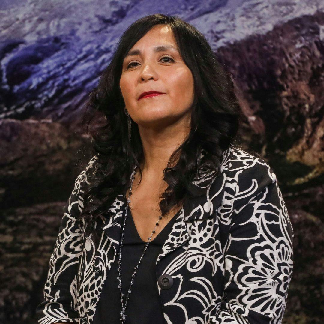 Directora de Transporte Público Metropolitano por nuevo plan de seguridad: Hay especial énfasis en los recorridos nocturnos”
