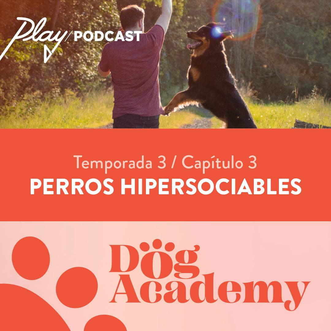 Clase 11: Perros hipersociables