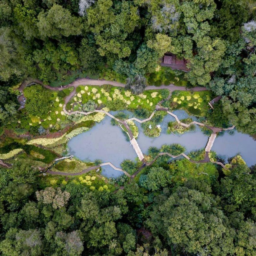El Parque Tricao